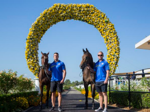 Darcy Lussick Horse2